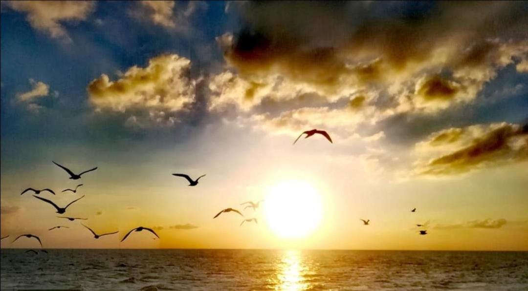 Appartamento Lido San Giovanni Gallipoli Exteriér fotografie
