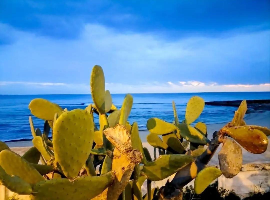 Appartamento Lido San Giovanni Gallipoli Exteriér fotografie